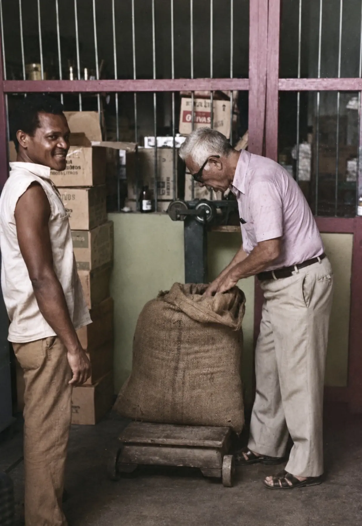 Don Evaristo controleert een grote jutezak cacao op een weegschaal